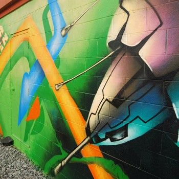 WKN/murals. Takoma Green - 314 Carroll St. NW - Photo by Ann Cameron Siegal
